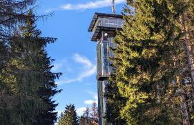 Gästehaus Fehrenbacher Schweiz - Foto 9