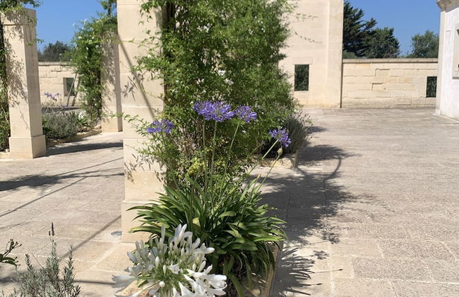 BioAgriturismo Messer Gesualdo - Photo 20