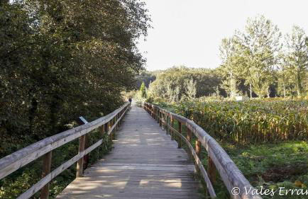 Casa do Cascão - Foto 24