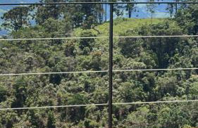 Chalés Bergview - Foto 68