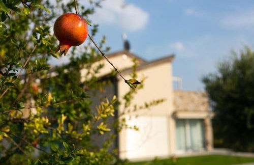 Casa Massaro Todeschini - Foto 79