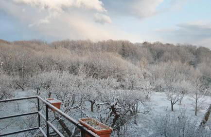 Chalet Etna - Foto 27