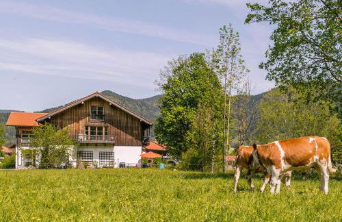 Alpen Chalet Alte Talstation - Foto 24