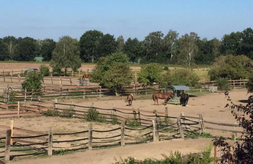 Schöne Aussicht - Foto 6