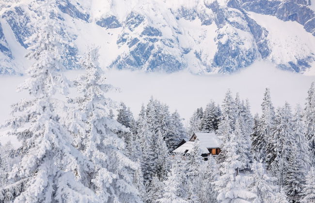 Koca Bistra - Velika planina - Foto 49