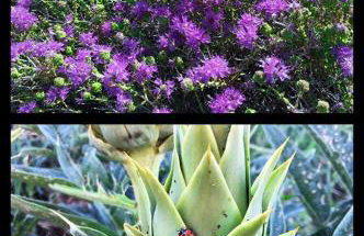 Agrilos Sea View House - Foto 51