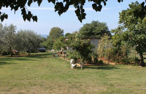 Apartments with parking space Umag - 6995 - Foto 27