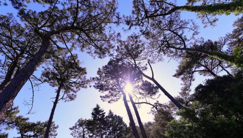 Villa Dune & Océan - Foto 3