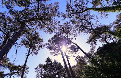 Villa Dune & Océan - Foto 3