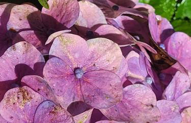 Chalé do Lopo - Photo 78