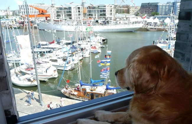 Charming Apaartment in Bremerhaven - Foto 22