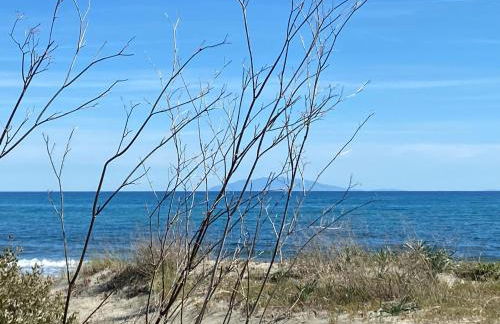 Beach house à Marina di Sorbo …Corse - Foto 24