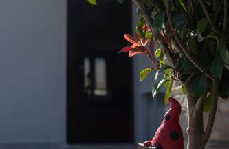 RELAXING POOL HOUSE IN LAGONISI 2 - Foto 15