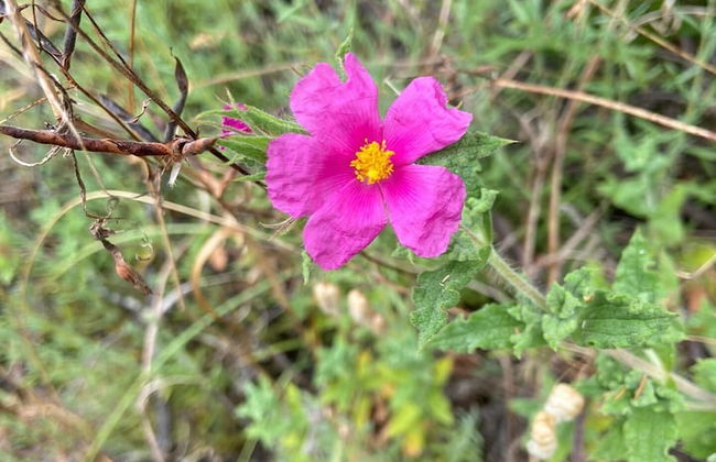 VISITAR BIOUCAS I - Casa Inteira Familiar e Grupo de Amigos - Foto 76
