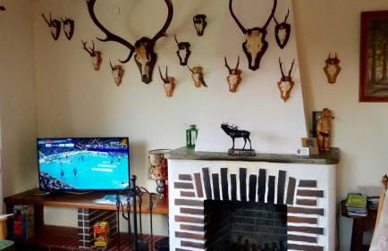 Schöne Aussicht am Eifelsteig - Foto 21