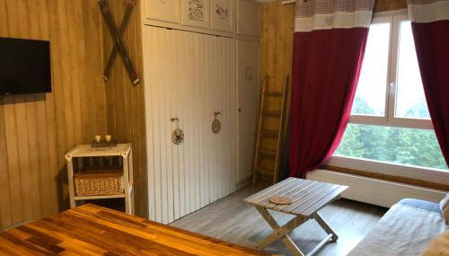 studio tout confort au pied des pistes du lioran - Foto 4