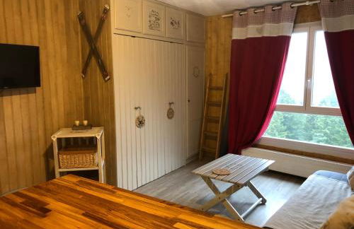 studio tout confort au pied des pistes du lioran - Foto 4