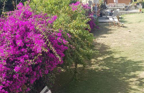 Apartamentos Rurales Casa Pachona - Foto 17