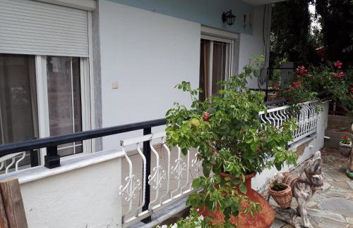 POPI 'S HOME - Foto 61