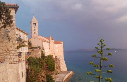 Apartment Lavanda garden - Foto 1