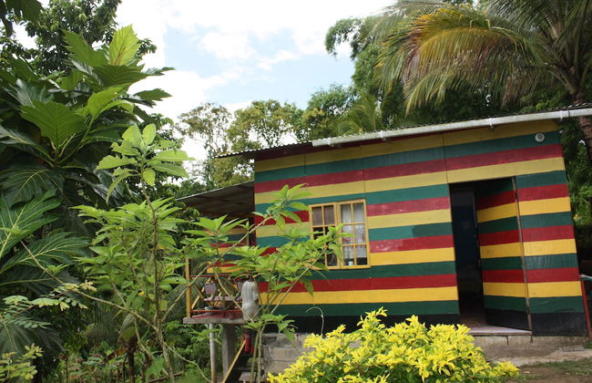 Nature in portland - Foto 26