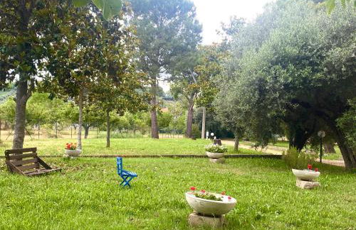 Adamasseria - Foto 19