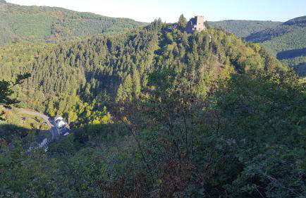 Ferienwohnung "Mosel" - Foto 54