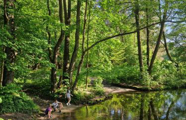 Łap Las Pelnik - Photo 18