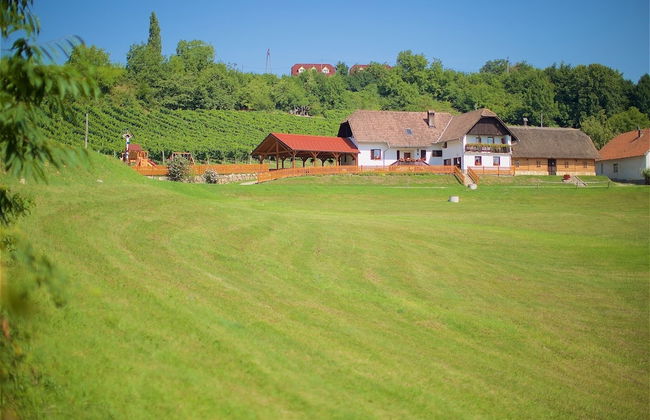 Tourist Farm Lovrec - Foto 57