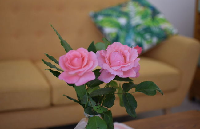 Flowery Inn Villa - Foto 54