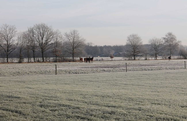 Cosy Holiday Home in Maarheeze With Verandah - Foto 49