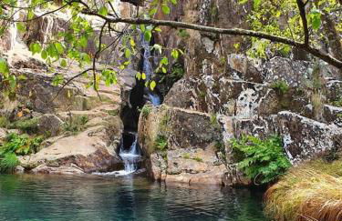O refugio do Mineiro - Foto 48
