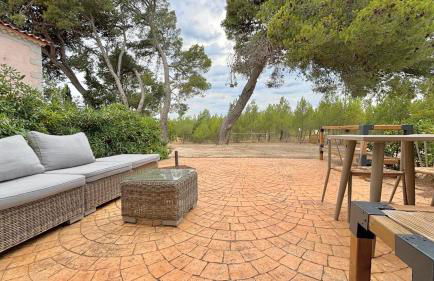 Domaine Ô Lingot d'Oc - Foto 56