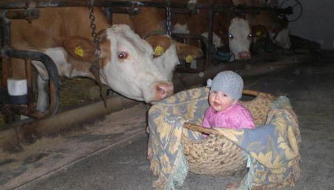 Öderbauer-Hof - Foto 5