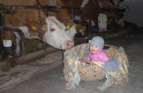 Öderbauer-Hof - Foto 5