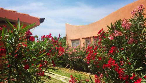 Aristea Case Vacanza - Foto 4, Garden