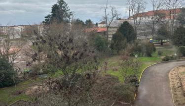 Studio Paisible Cœur de Paray-Le-Monial app 303 - Foto 2