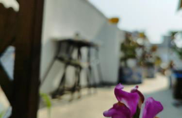 Le volte di Umberto Tramontana - Foto 12