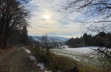 Bosnest Nr 176 - Photo 25