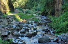 Casa Giuly Vacanze - Foto 33