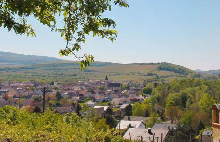 Villa Bonita del Kaiserstuhl - Foto 1