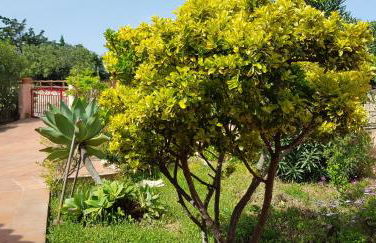 Villa Ginestra - Foto 4