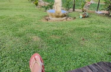 Sitio Vida - Foto 10