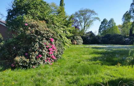 Ferienwohnung Kaminzimmer - Foto 10