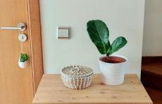 APARTAMENTO DO LAGAR - Foto 36