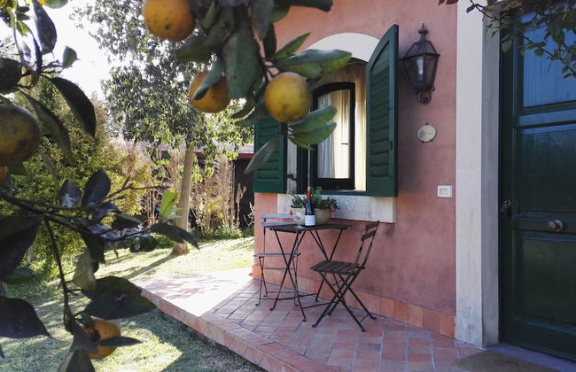 Tenuta San Calogero - Foto 62