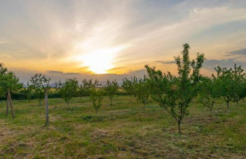 Πέτρινη εξοχική κατοικία, Λάρισα - Foto 6