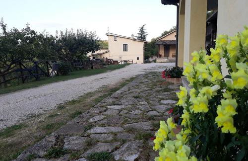 Agriturismo Casale Sant'Antonio - Foto 14