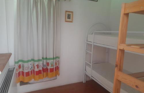 Fico d'india - Foto 23