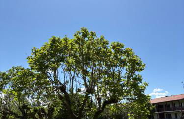 Appartement T4 à 200m de la plage - Foto 14